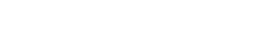 LEON GROUP