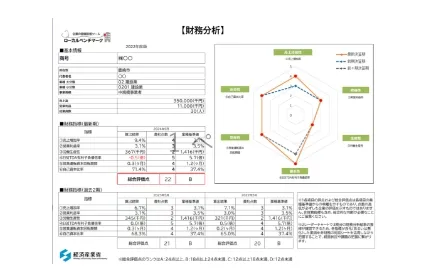 財務分析ツールで自社の課題を見える化